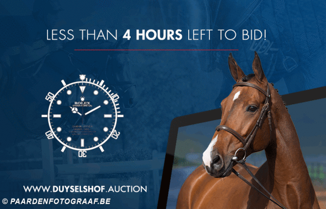 Duyselshof Auction sluit vanavond