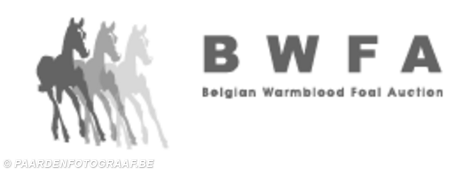 BWFA op zoek naar kwaliteitsveulens !