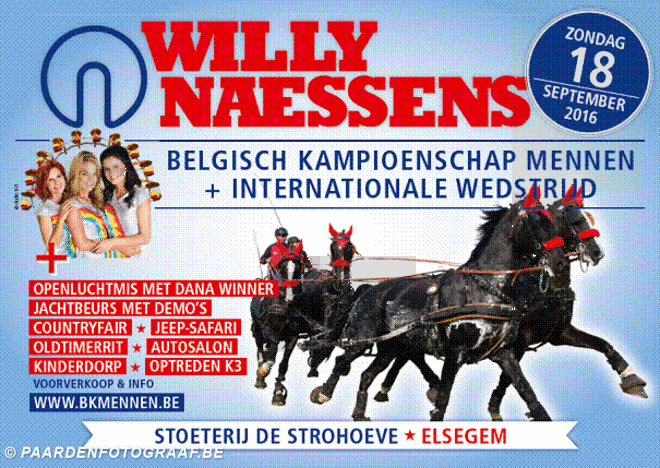 FEI-voorprogramma Elsegem CAI2*