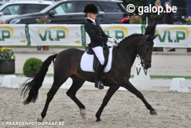 EK Pony"s: toptien voor Lavinia Arl