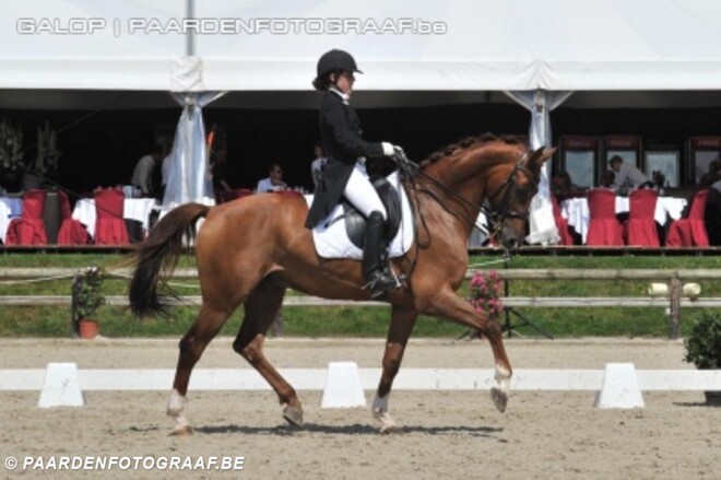 Belgische Young Riders vijfde op EK dressuur