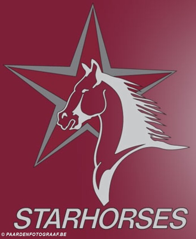 Starhorses zoekt ruiter voor jonge paarden