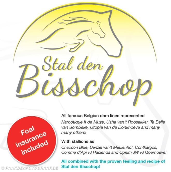 Slotdag den Bisschop Embryo Auction