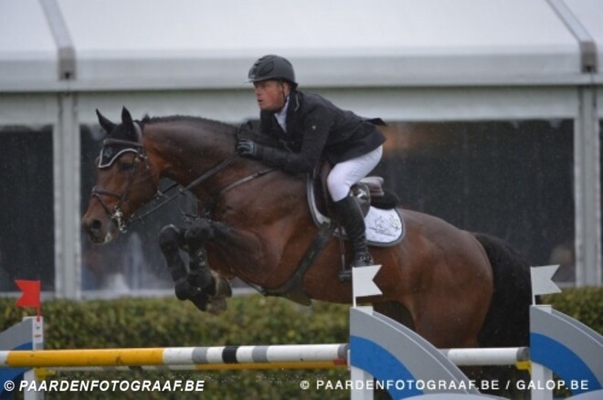 Eldorado vd Zeshoek wint in Arnhem