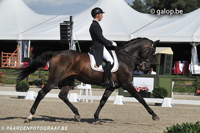 Juniorteam zevende op EK dressuur