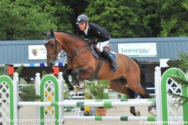 Lummen: Belgische winnaars bij jonge paarden