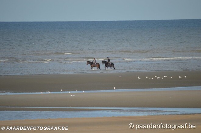 Wandelen te paard niet meer toegelaten!