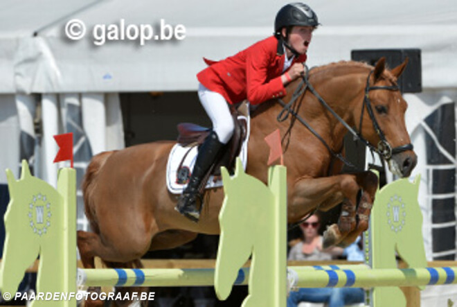 EK Pony"s: Jumping team vijfde na eerste manche landencompetitie