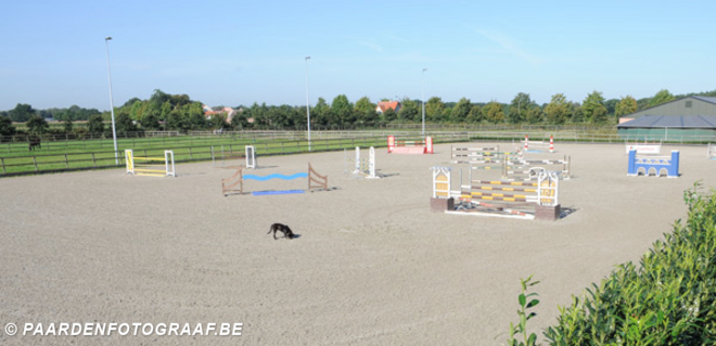 Voltijdse job voor ruiter jonge paarden