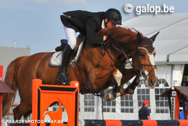 Bellano vd Bosbeek naar Euro Horse voor Jos Verlooy