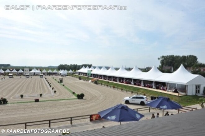 EK-dressuurpony's bekend