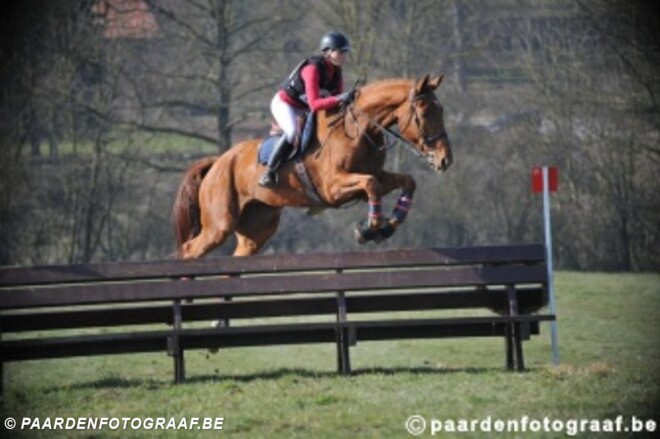 LRV-eventingteam derde na cross-country