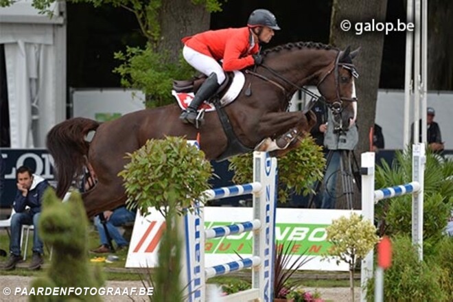 Belgian Foal Auction veulen springt dubbel
