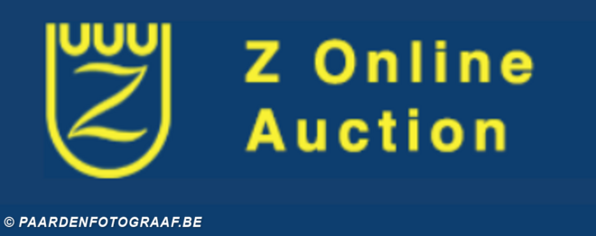 Z Online Auction op zoek naar jonge paarden