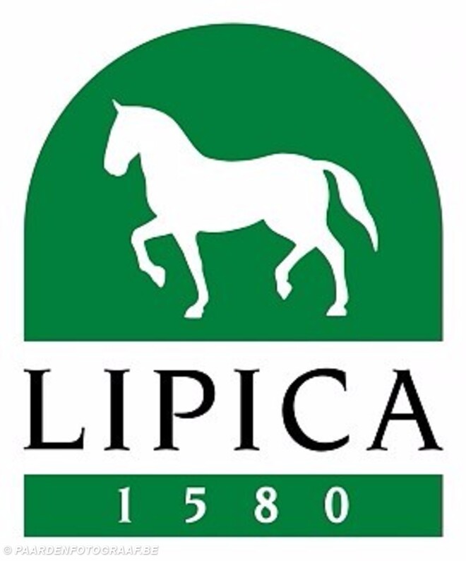 Lipica, startlijsten, tekeningen, uitslagen