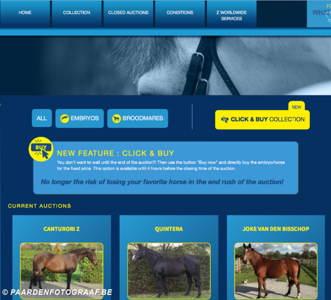Z Online Auction pakt uit met nieuw concept