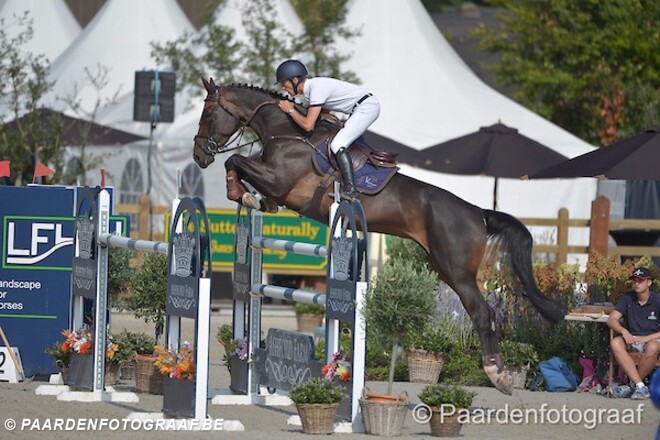 CSI2* Lier: Vermeir 3de in rankingproef!