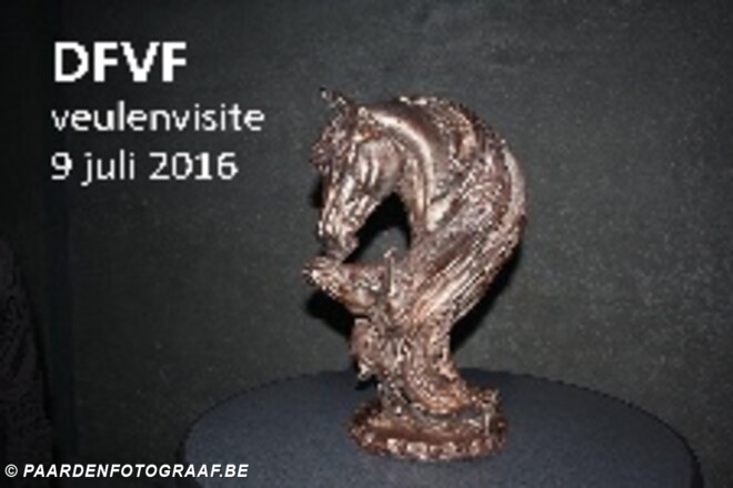 Uitnodiging Veulenvisite 9 juli 2016