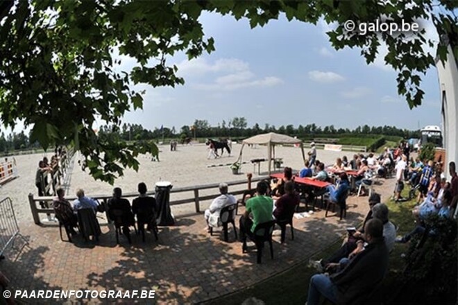 Dressuurpaardenprijskamp Geel nu op 20 juni