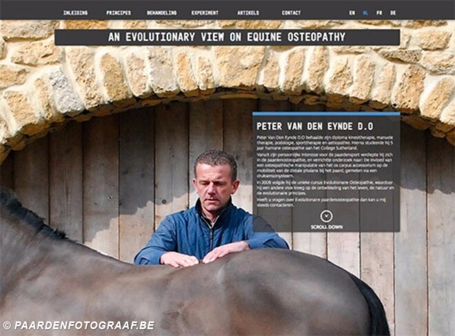 Nieuwe website voor Peter Van Den Eynde