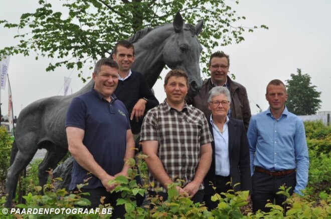Auction Antwerp meets Flanders Mare Auction