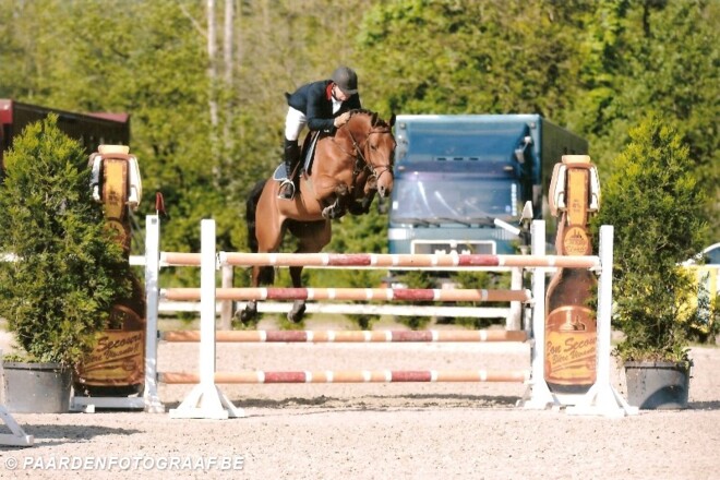 Elouise, Melody en Caramello Z goed op 1.50m