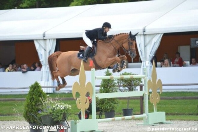 Baronez vd Abelendreef 3e in Million Dollar