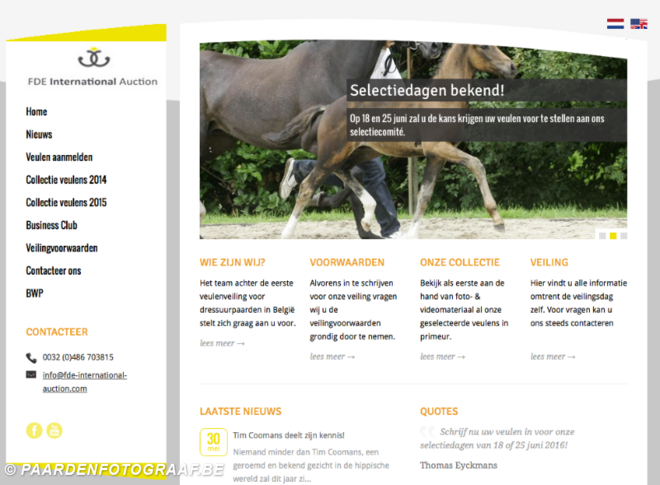 FDE International Auction, de enige dressuur