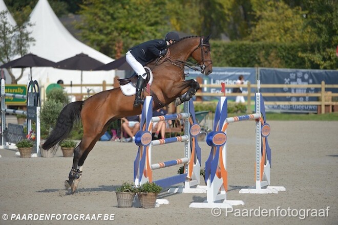 CSI3* Birmingham: Belgen klasseren zich
