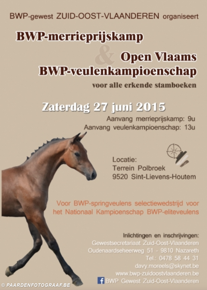 Schrijf nu in voor Open Vlaams BWP-veulenk.