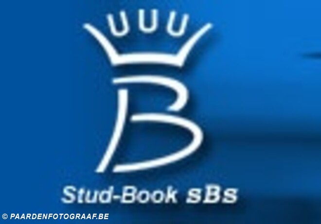 Twintig nieuwe hengsten voor sBs