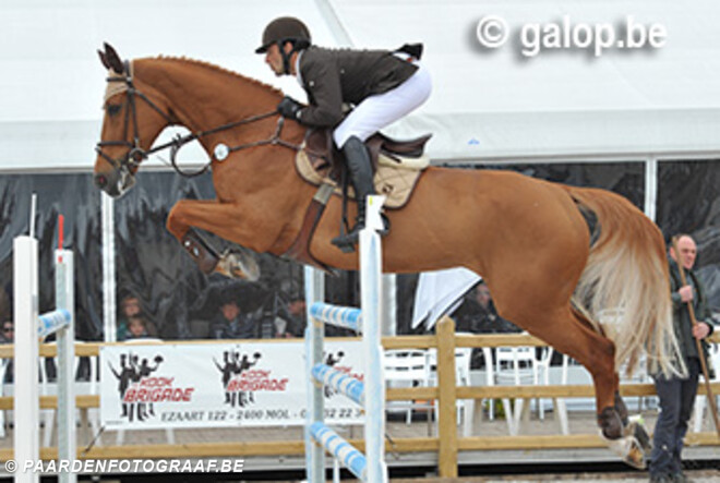 Hoofdrubriek voor Sven Van Dijk in Bonheiden