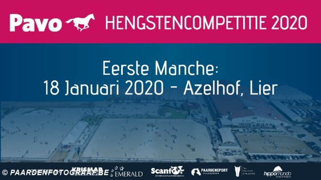 De nieuwe PAVO Hengstencompetitie!