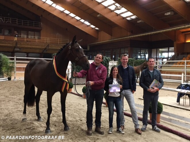 Scoop, Pop Star, Hadewyn winnen vrijspringen