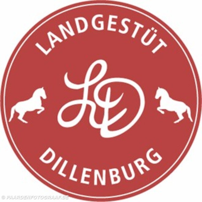 Dillenburg, resultaten