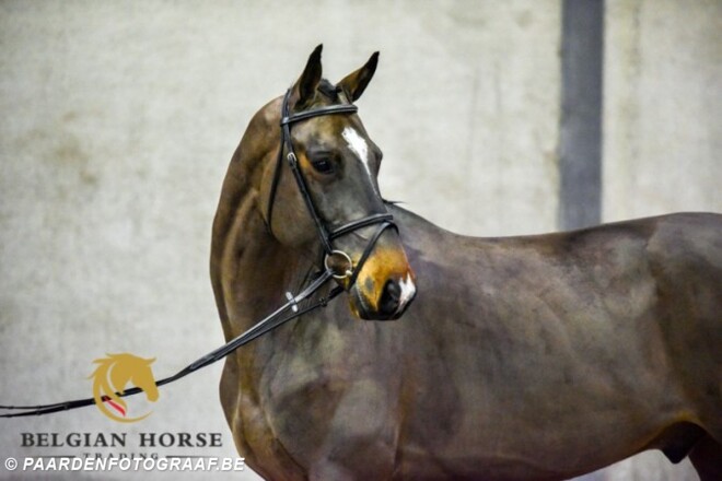 Vanavond presentatie BHT-collectie !