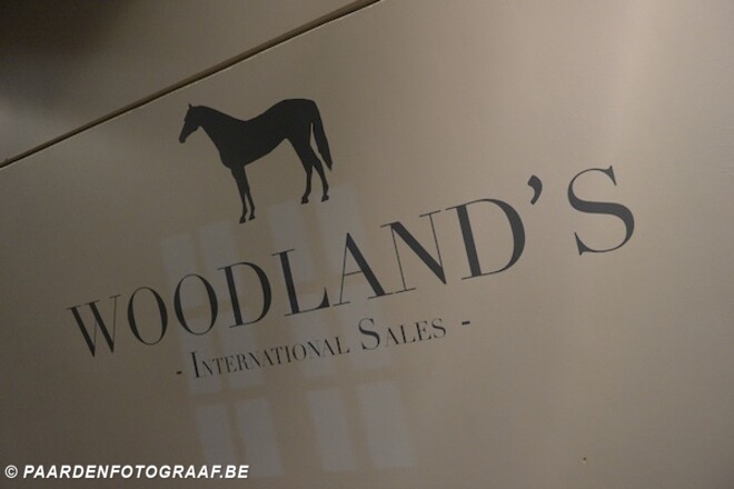 Woodland's topper klokt af op 110.000 euro