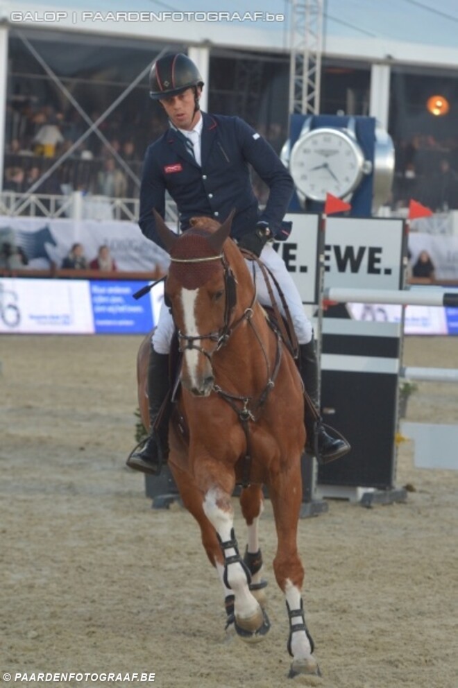 Emerald-veulen vroege veilingtopper