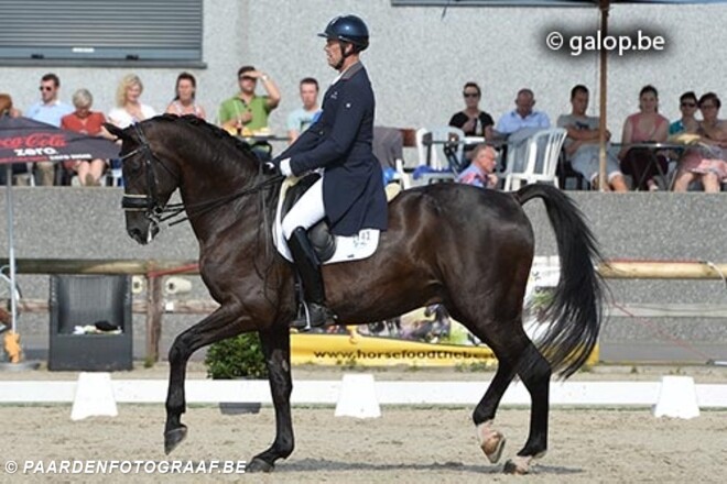 67,22% voor Mario in CDI4* in Treffen