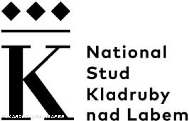 Dossier CAI Kladruby nad Labem (CZE) 18-21/04/2024