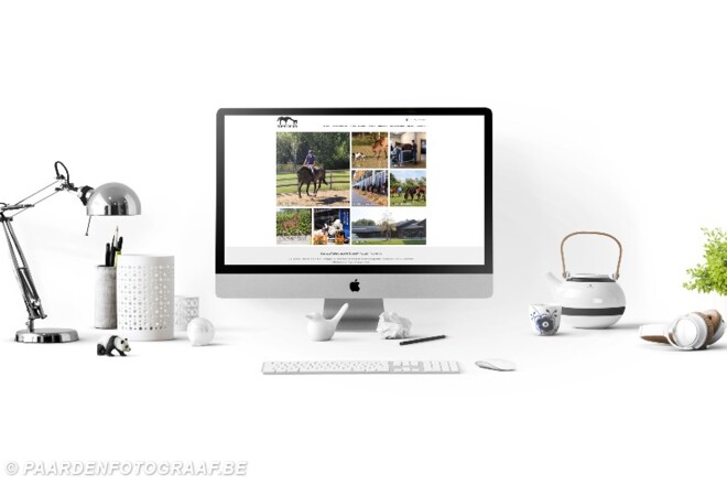 Stal Optimus lanceert nieuwe website