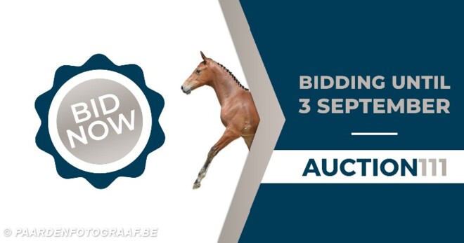 Laatste dag Auction-111
