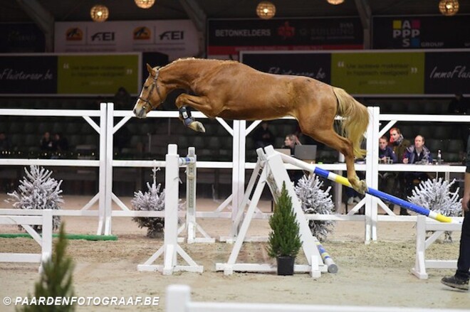 Requiem J&F Champblanc ook veilingtopper!