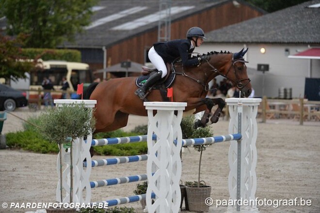 CSI2* Brussel: Peeters 2de in ochtendrubriek