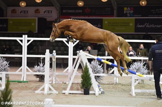 Requiem J&F Champblanc wint finale 2j!