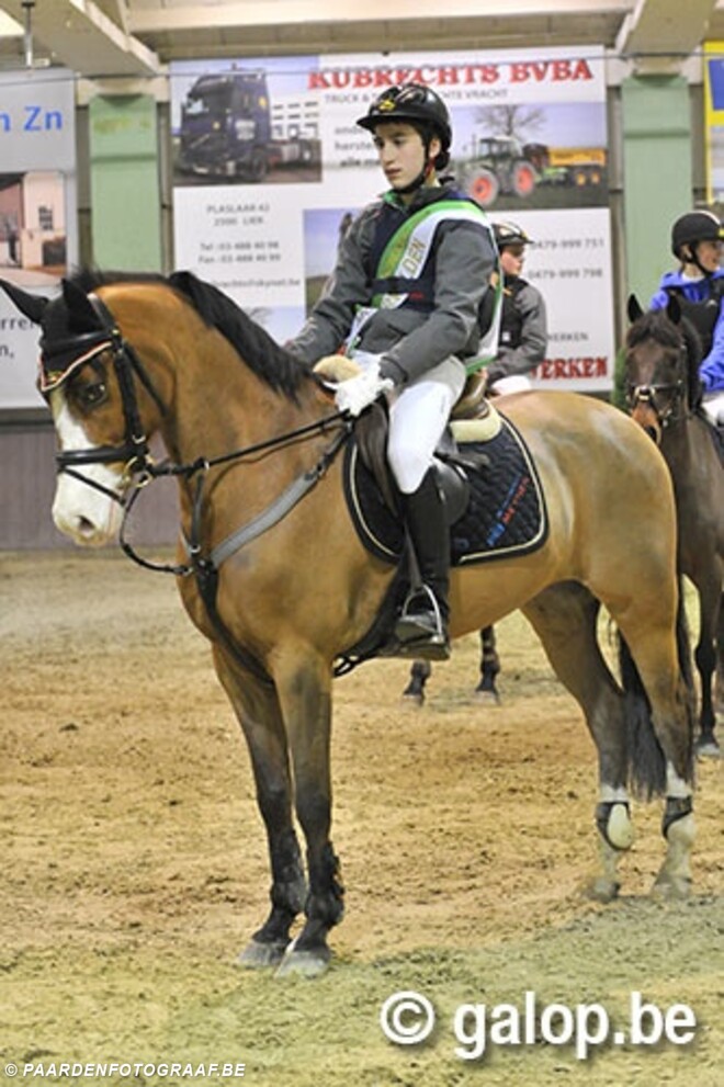 Provinciale pony indoors LRV