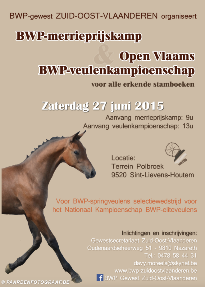 Open Vlaams  BWP-veulenkampioenschap
