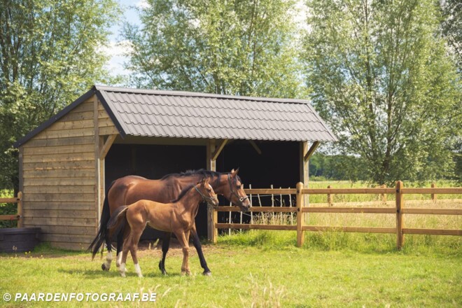 De Sutter Naturally bouwt aan de toekomst