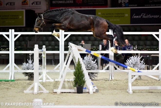 Dit zijn de finalisten vrijspringen voor 2j