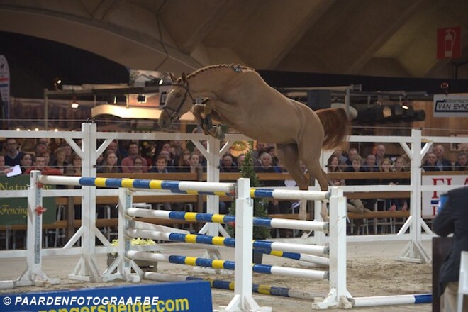 BWP boven tijdens Emerald Freejump Contest!